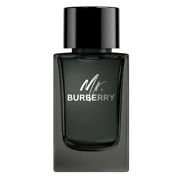 Mr. BURBERRY - Eau De Parfum 100 ML